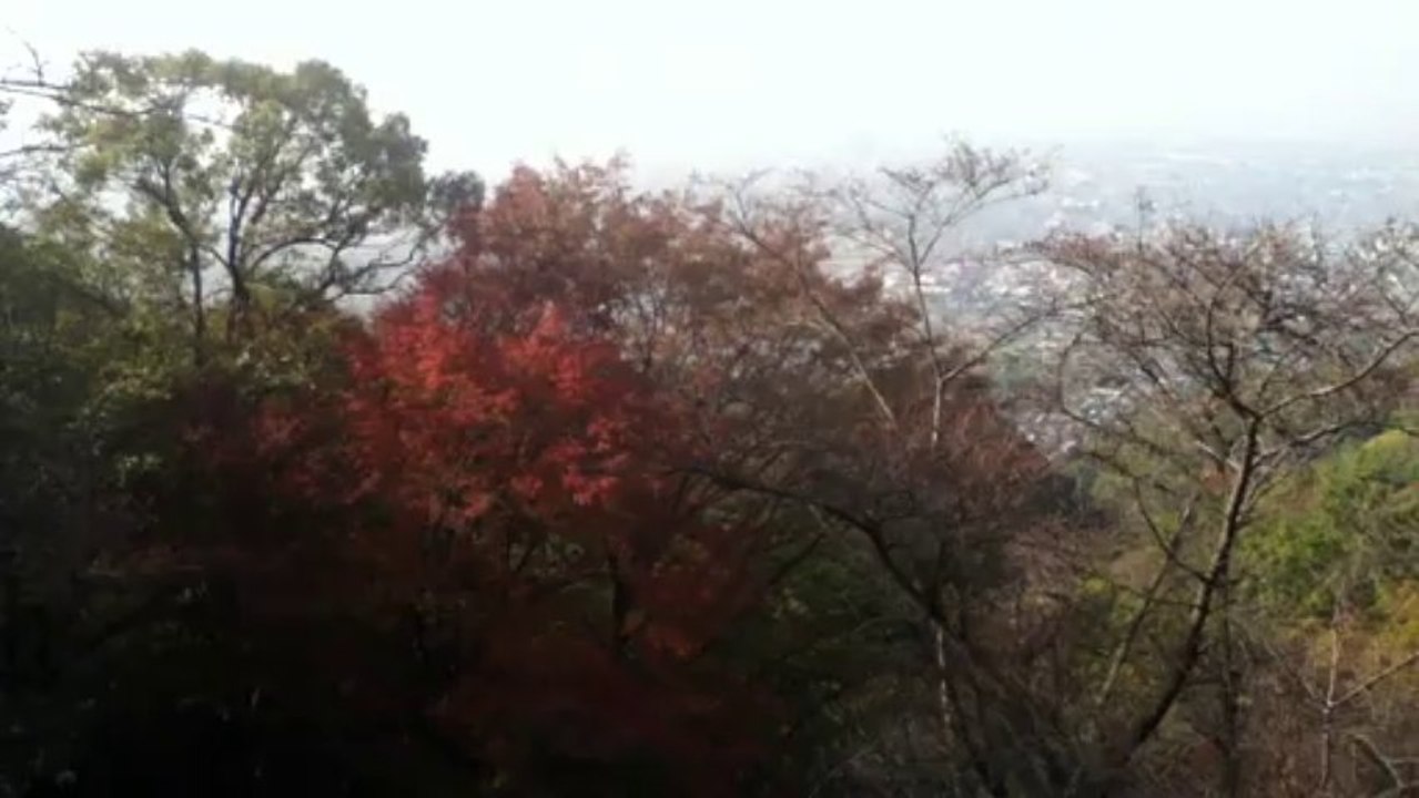 水呑地蔵（みずのみじぞう）からの景色