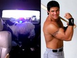 Goat in diapers: MLB veteran Jose Canseco pulled over, cops make horrifying doscovery