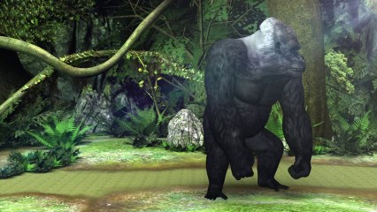 Size matters: Women like the male anatomy bigger, study confirms