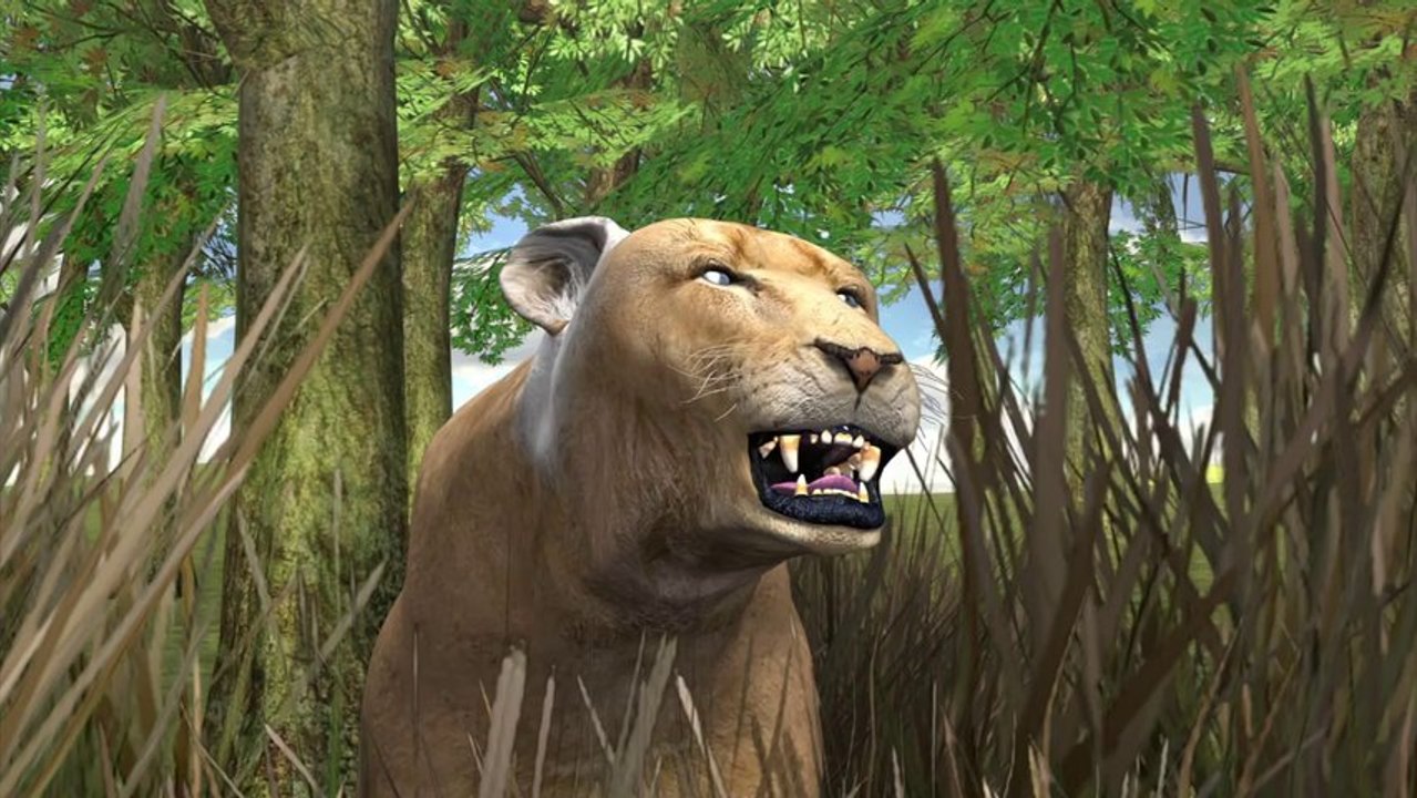 Colorado mountain lion eats dog