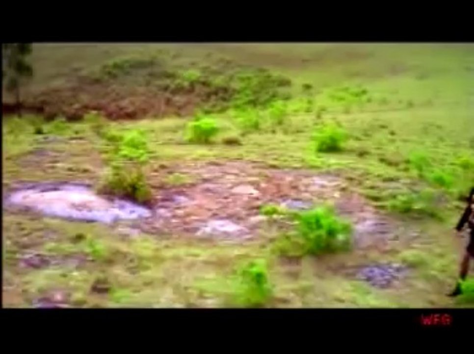 new indian song