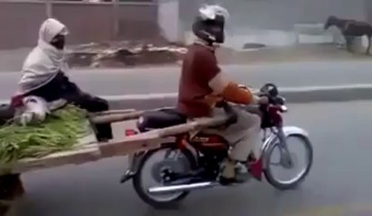 Funny Ghady Ki Sawari [Funny-Fun-World]