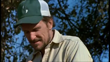 Tendre bonheur ( bande annonce VO )