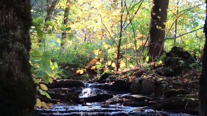 Autumn in New England, MA