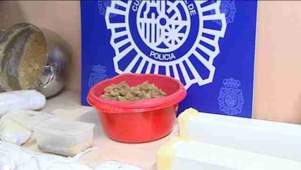 Detenidas doce personas tras desmantelar un macrolaboratorio en Tarragona