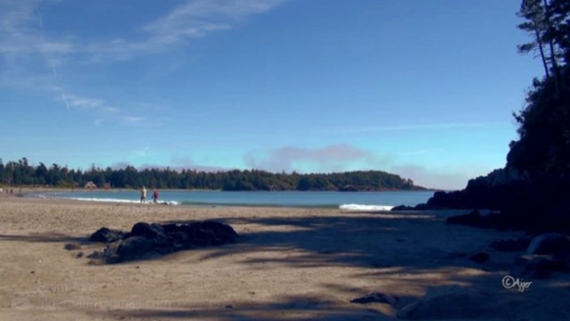 Mackenzie Beach Vancouver Island Tofino British Columbia