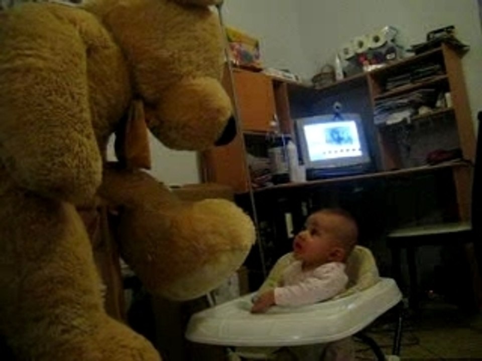 Mon ami nounours