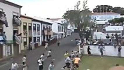 Photographer Surprised By Charging Bull