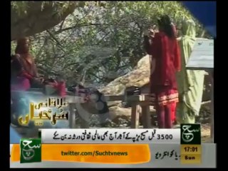 News Headlines - November 24, 2013, 5pm 🗞️