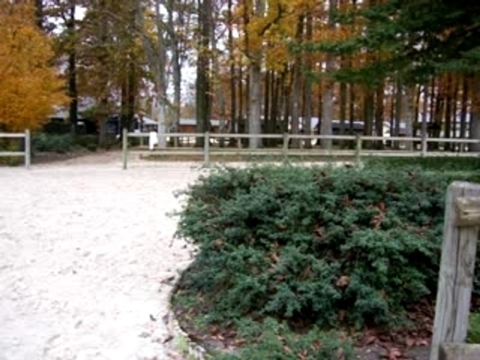 suite parcour gringo