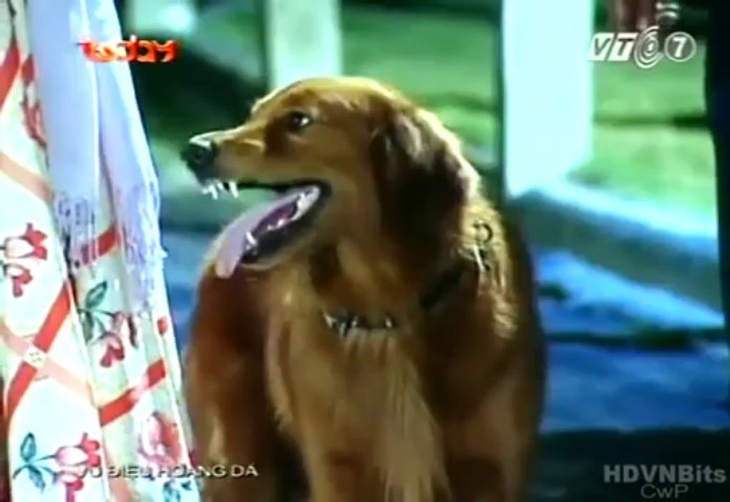 Xem Phim Vũ Điệu Hoang Dã - Today Tv - Tap 072