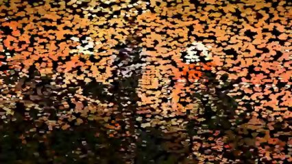 Μια ιστορία απ΄ τον πόλεμο ---  Χρήστος Κωνσταντόπουλος