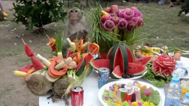 AFP - Le JT, 1ère édition du dimanche 24 novembre