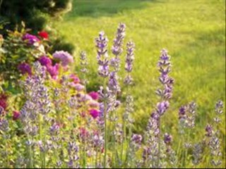 aa kahi door chale jaen hum