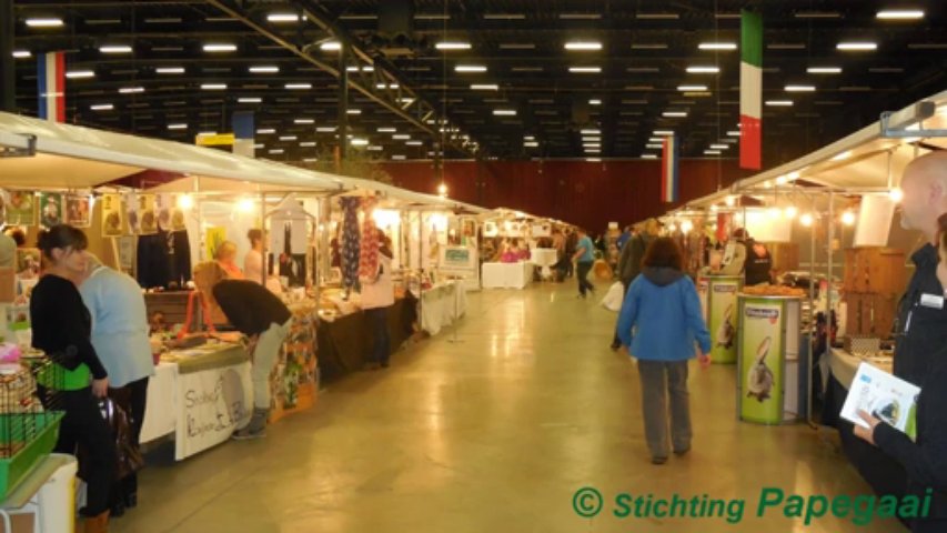 Huisdierdagen Assen 2013