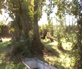 Domaine de Millegrand, entrainement Odra