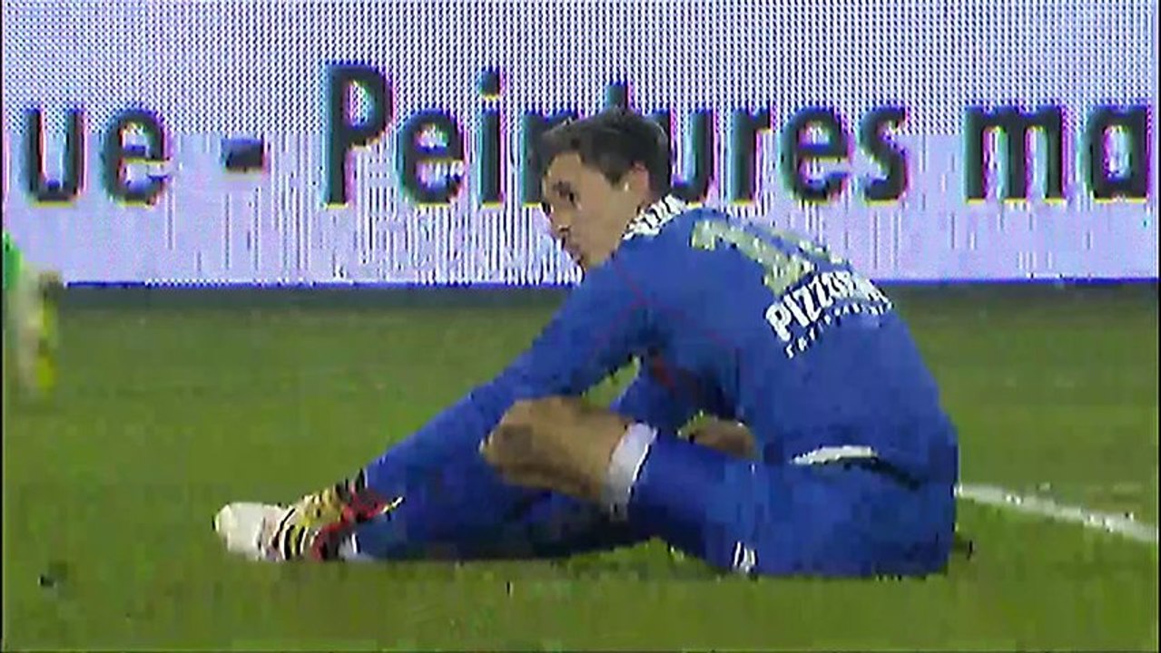 But Mevlut ERDING (19ème) - OGC Nice - AS Saint-Etienne (0-1) - 2013/2014