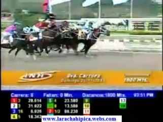 larinconada 8 CARRERA DOMINGO 24 DE NOVIEMBRE DEL 2013