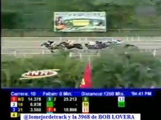 larinconada 10 CARRERA DOMINGO 24 DE NOVIEMBRE DEL 2013