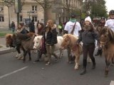 Equitaxe: des milliers de manifestants dans la rue contre l'augmentation de la TVA - 24/11