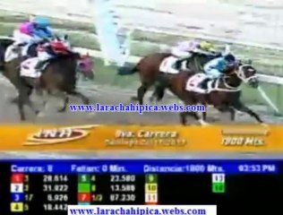 RESUMEN DOMINGO 24 DE NOVIEMBRE 2013