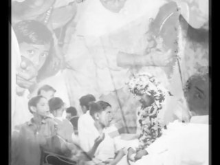 Mr & Mrs Z A Baig's Wedding Album