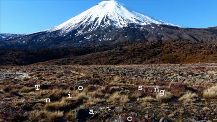 nouvelle zélande circuit 2013