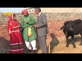 Patelan Ko Bilowano 03   Rajasthani Comedy Natak