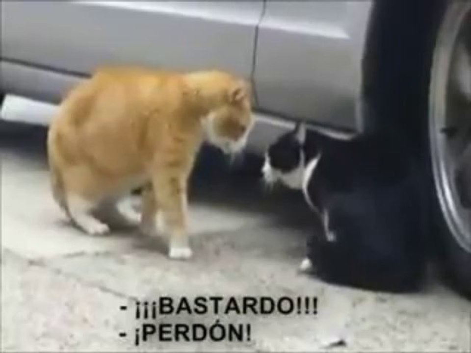 VID-20130913-WA001