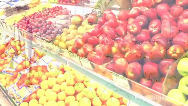 Element Austin, The Apartments in Austin, TX - ForRent.com