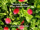 Mustafa Özoruç - Ateş-i Aşkınla Yandır - http___www.hakweb.com