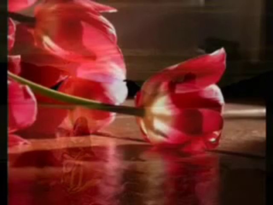 Özgür Demirhan Ben Derdimi Söyleyemem Dilim Yaralı_2