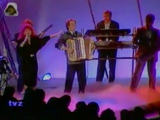 Zorica Brunclik - Ne dam da mi lome krila