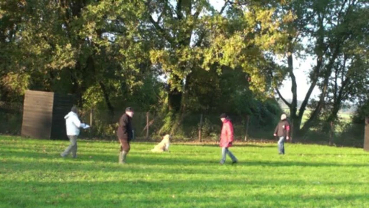 Haribo concours d'obéissance classe 1