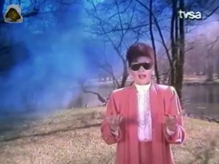 Zorica Brunclik - Razbila bih čašu