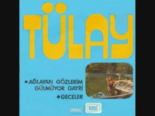 Tülay Özer - GECELER ( plak )