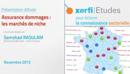Xerfi France, Les marchés de niche dans l'assurance dommages