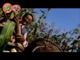 Yücel ÖNER Hasat Zamanı