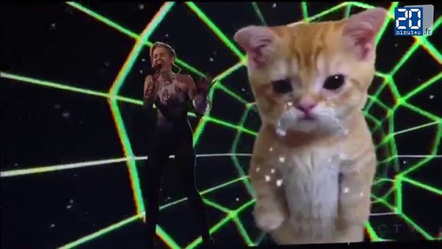 Miley Cyrus en bikini et un chaton, le duo le plus improbable des AMA