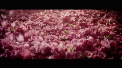 pub Dior J'Adore 2013 [HQ]