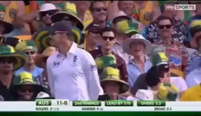 Australian Fan Insulted Kevin Pietersen