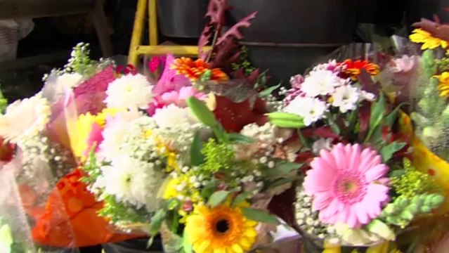 Midi Chez Vous - Bergues