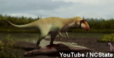 Newly Discovered Dinosaur Possibly Bigger Than T. Rex
