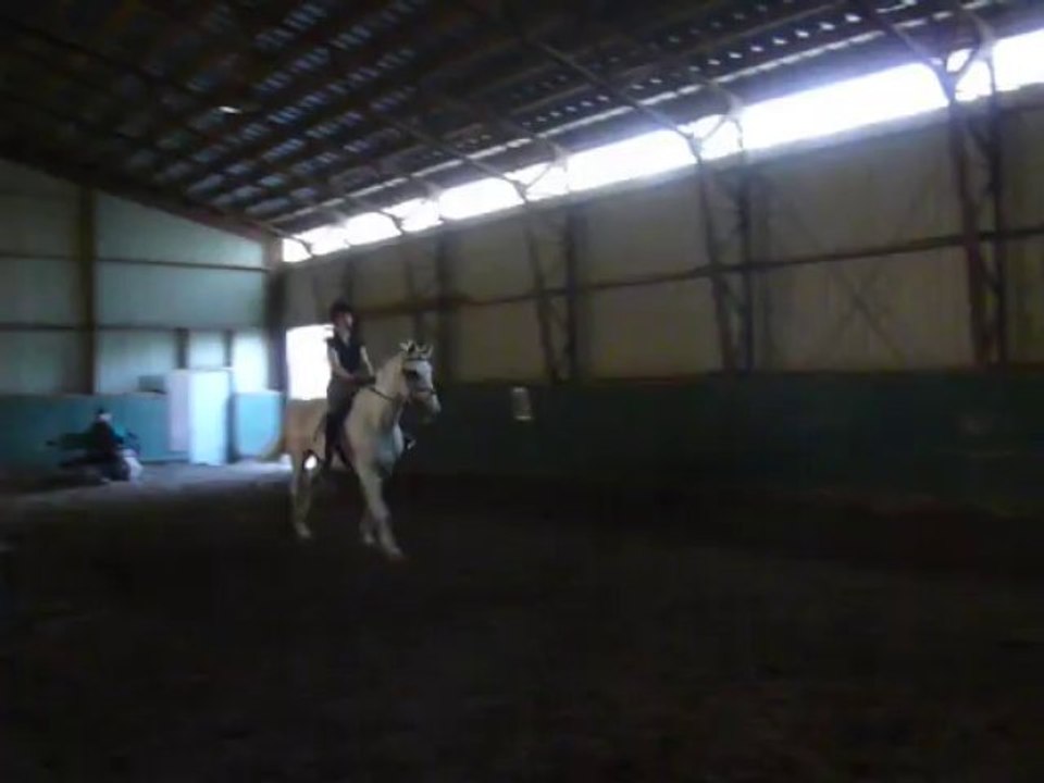 Cassi