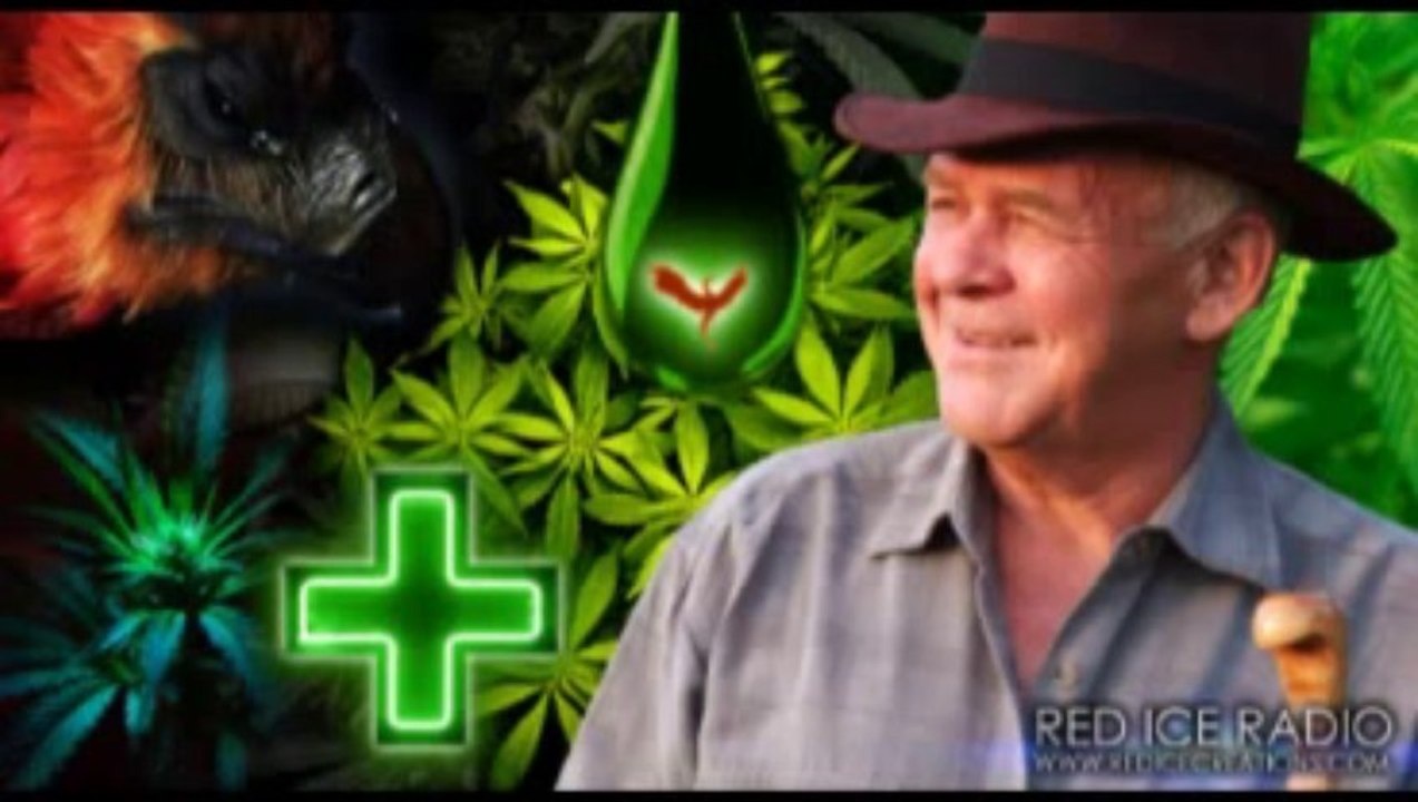 Red Ice Radio - Rick Simpson - Hour 1 - Hemp Oil Cancer Cure