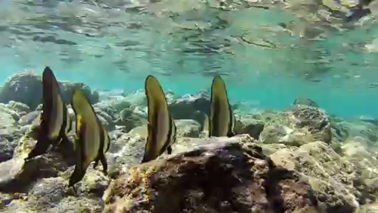 padlle etang salÃ©