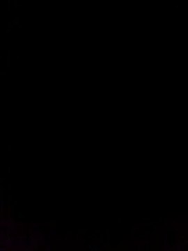 1 million de pavillons cocorico et zéro pavillon Syrie ?