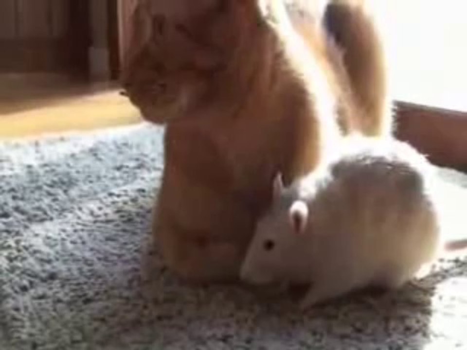 C'est beau l'amour