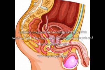 How To Cure Prostate Pain, Learn How To Cure Prostate Pain Naturally