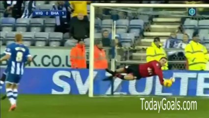 Wigan Athletic 0-1 Brighton & Hove Albion Highlights 23.11.2013 - TodayGoals.com